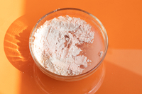 FAU Premium Shiny Pumpkin Modeling Mask | Modelująca maska typu peel-off z dynią i kolagenem | 1kg  